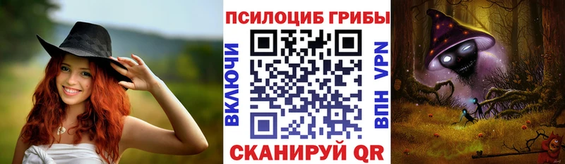 закладка  Мензелинск  Галлюциногенные грибы мицелий 