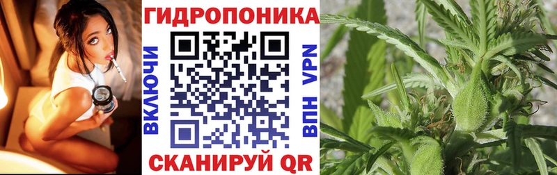 даркнет сайт  Мензелинск  Конопля AK-47 